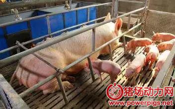 微信图片_20180510093436.jpg