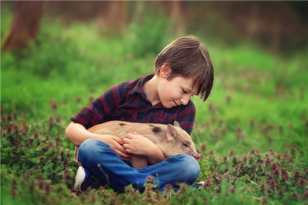近期，各区域价差逐渐缩窄，加上跨省禁运令的实施，导致生猪调运大幅减少。肉猪基本在当地销售为主，区内消耗压力渐增，局部地区终端消费疲软而出现滞销现象。跨省调运禁令对部分小散养殖户有影响，区内大体重肉猪较多，当地屠企采购价微跌。