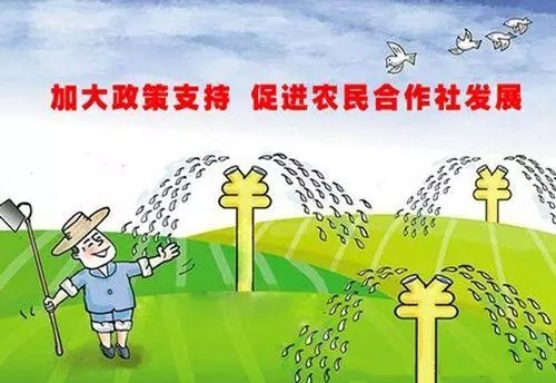 中国养猪网