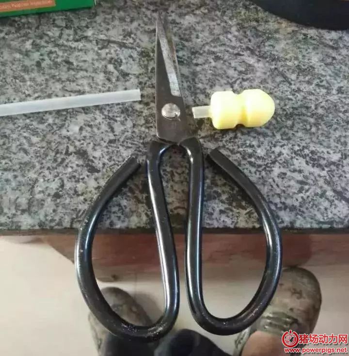 微信图片_20180517084809.jpg