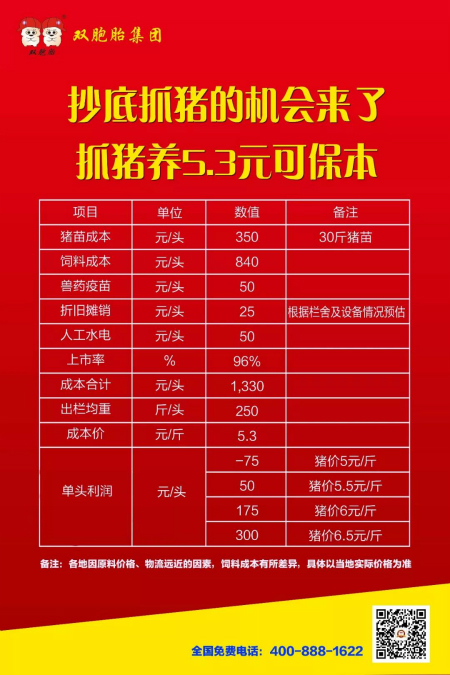 中国养猪网