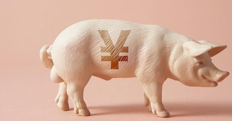 东北暴涨4毛!本轮反弹能否长久?