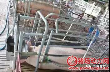 微信图片_20180601105902.jpg