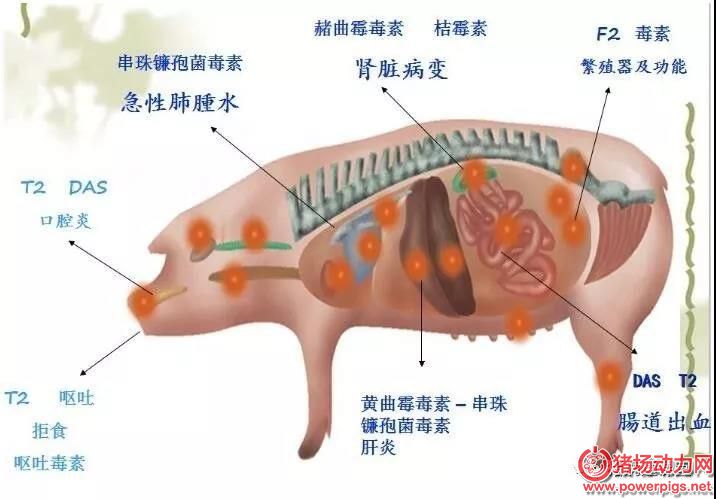 微信图片_20180530162123.jpg