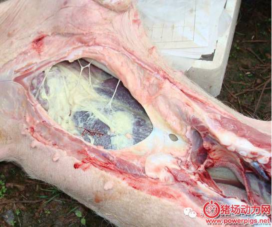 微信图片_20180607093214.jpg