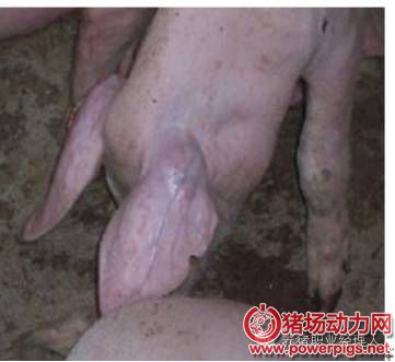 微信图片_20180607093227.jpg