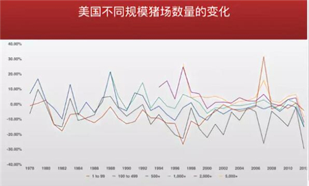 中国养猪网