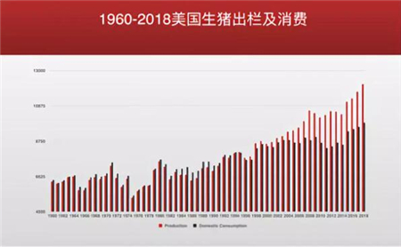 中国养猪网