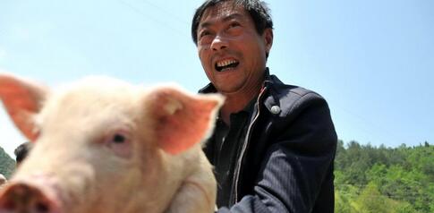 中国农业新闻网