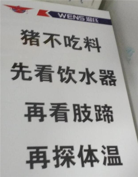 中国养猪网