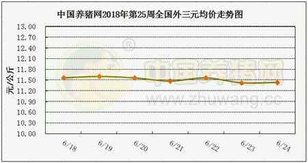 中国养猪网
