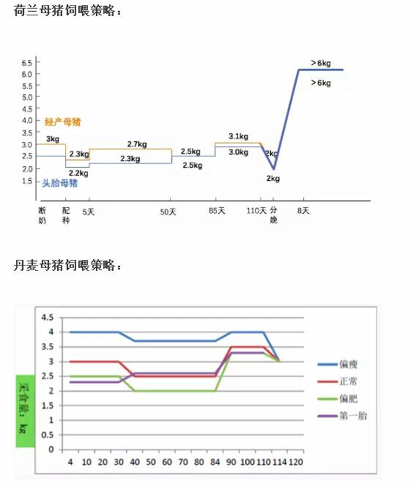 中国养猪网