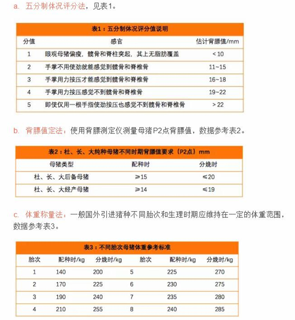 中国养猪网