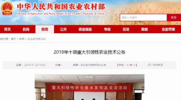 中国养猪网