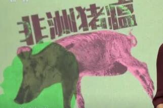 中国养猪网