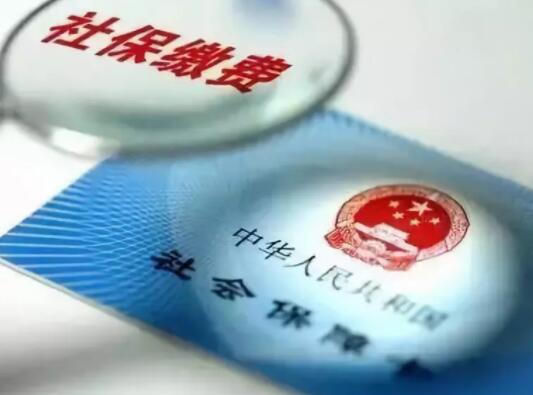 中国养猪网