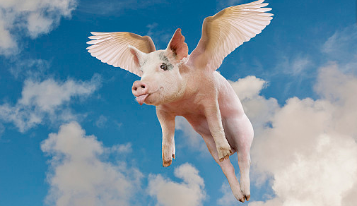 养殖集团、屠宰企业、甚至中小散户惜售看涨情况比较明显，猪价调整现象表现突出。