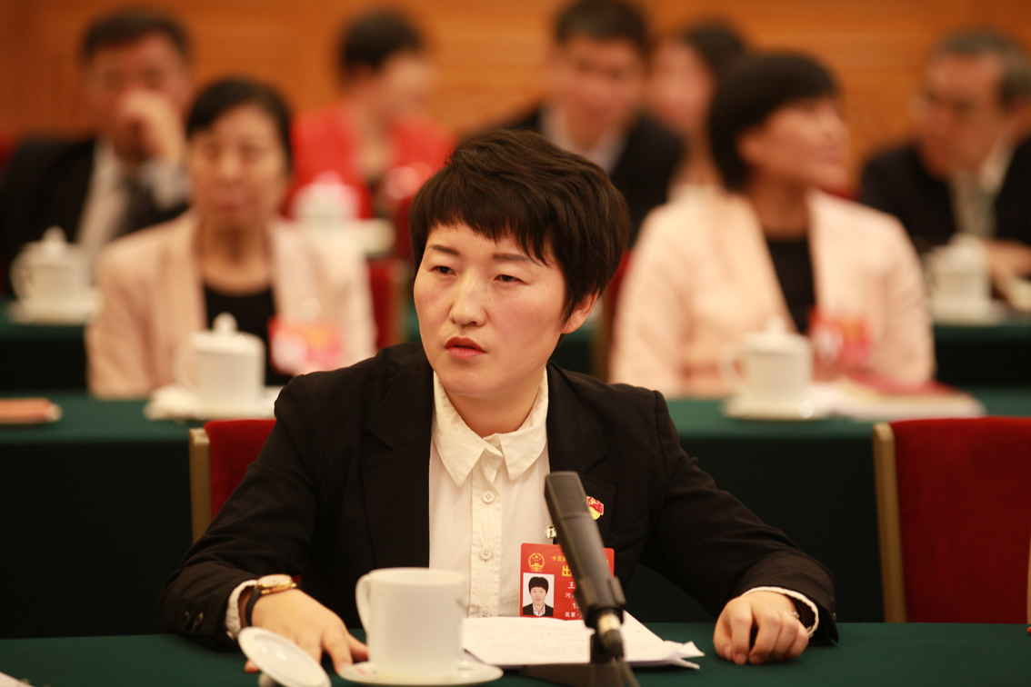 在河南代表团，习近平详谈这项“具有特殊重要性”的工作