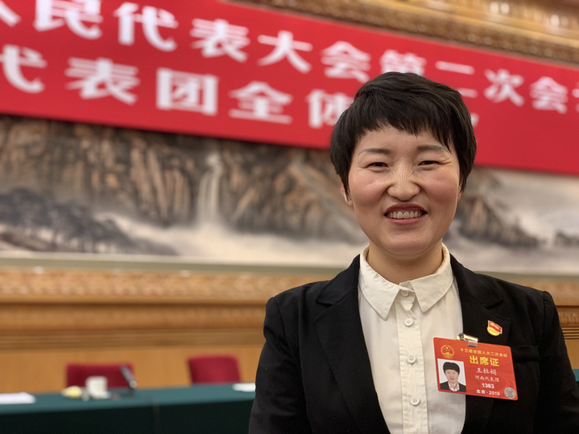 在河南代表团，习近平详谈这项“具有特殊重要性”的工作