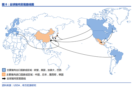 中国买猪影响测算：国内缺口难补，国际猪价必涨