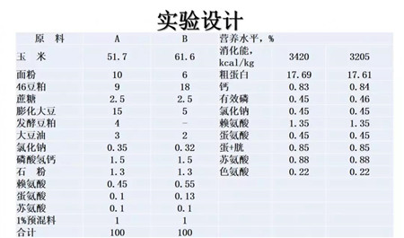 中国养猪网