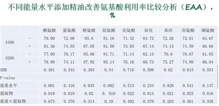 中国养猪网