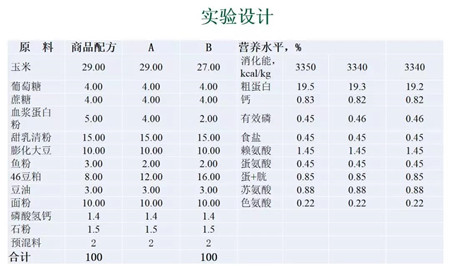 中国养猪网