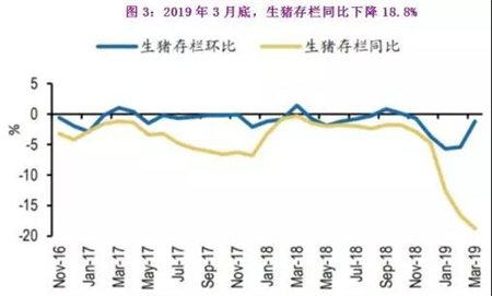 猪价将突破历史高点，五张图看懂超级猪周期！