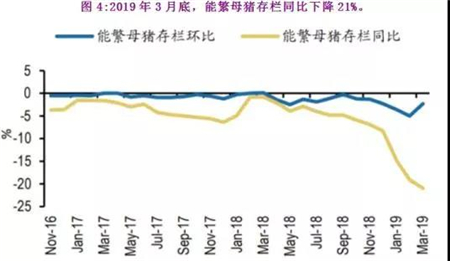 猪价将突破历史高点，五张图看懂超级猪周期！