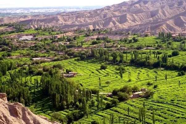 近14亿人的口腹之欲，是如何被满足的？