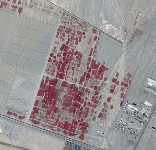 近14亿人的口腹之欲，是如何被满足的？(3)