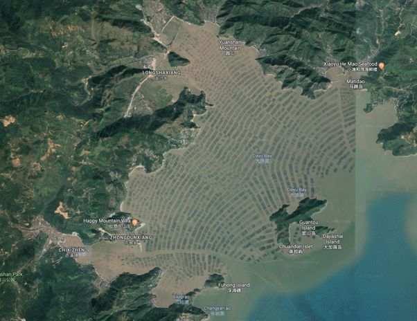 近14亿人的口腹之欲，是如何被满足的？