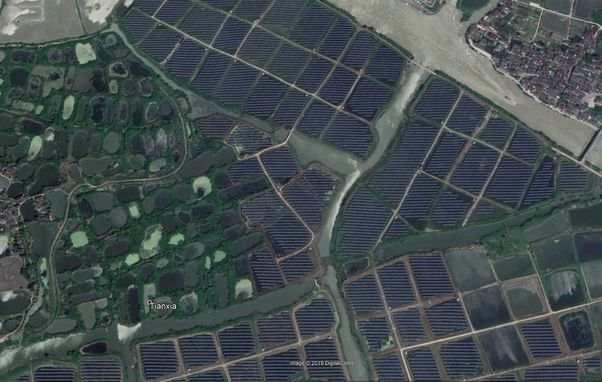 近14亿人的口腹之欲，是如何被满足的？