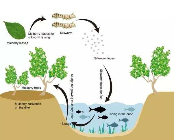 近14亿人的口腹之欲，是如何被满足的？