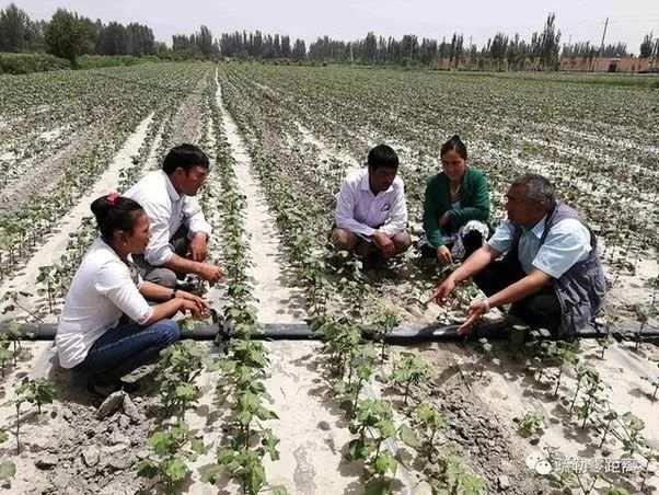 近14亿人的口腹之欲，是如何被满足的？(3)
