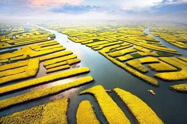 近14亿人的口腹之欲，是如何被满足的？(2)