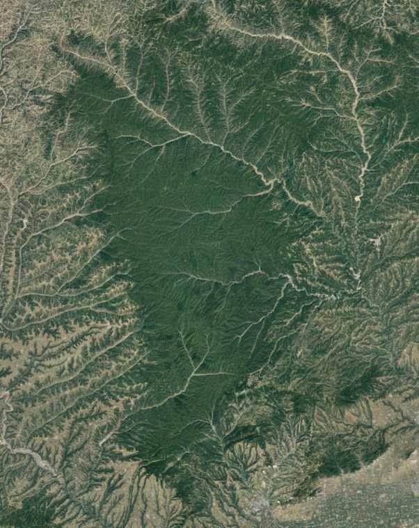 近14亿人的口腹之欲，是如何被满足的？(4)