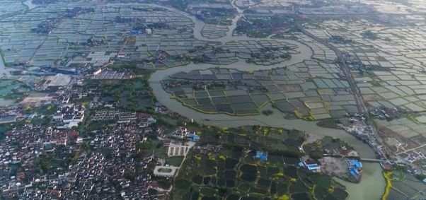 近14亿人的口腹之欲，是如何被满足的？