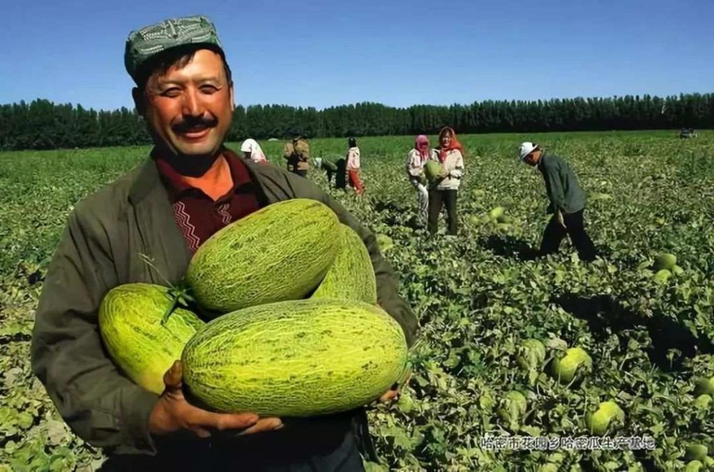 近14亿人的口腹之欲，是如何被满足的？(3)