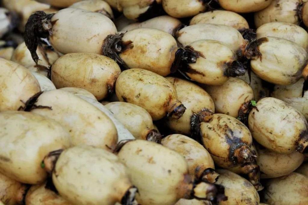 近14亿人的口腹之欲，是如何被满足的？(2)