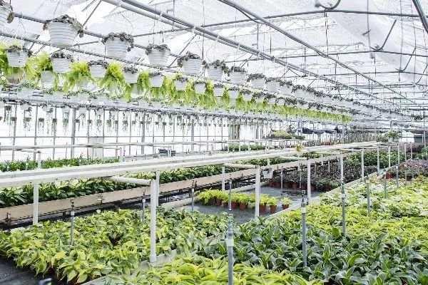 近14亿人的口腹之欲，是如何被满足的？(2)