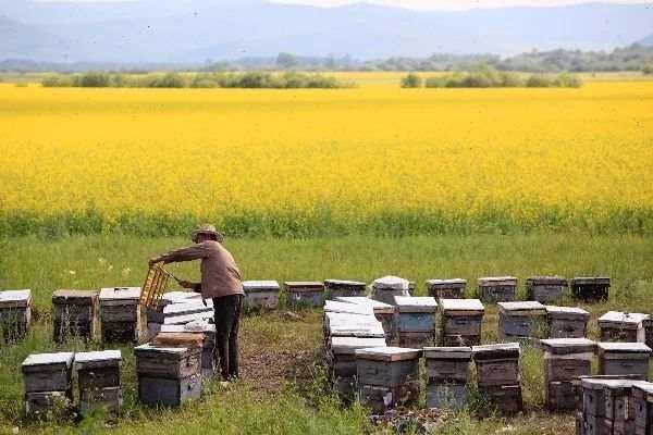 近14亿人的口腹之欲，是如何被满足的？(2)