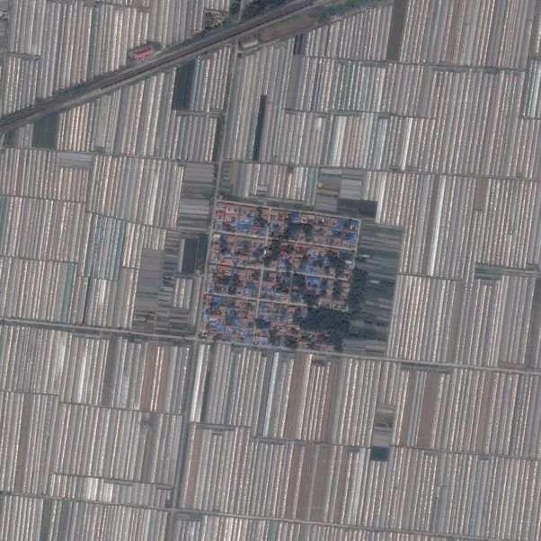 近14亿人的口腹之欲，是如何被满足的？