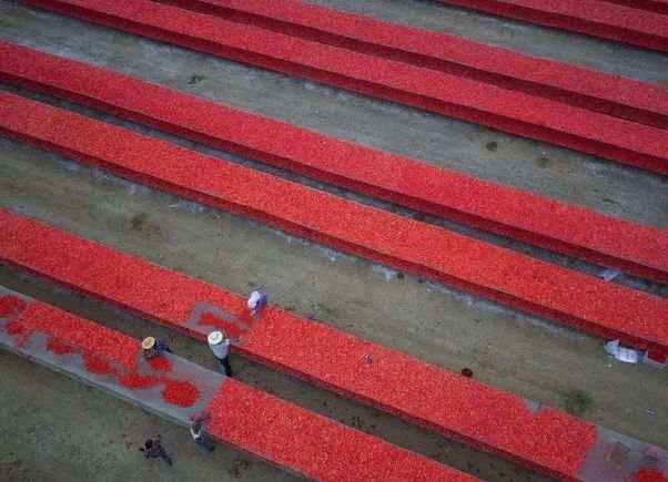 近14亿人的口腹之欲，是如何被满足的？(3)