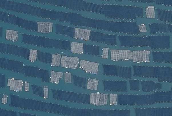 近14亿人的口腹之欲，是如何被满足的？