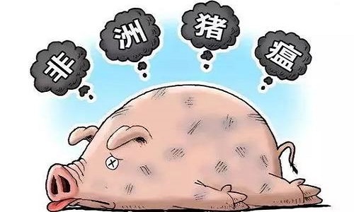 中国养猪网