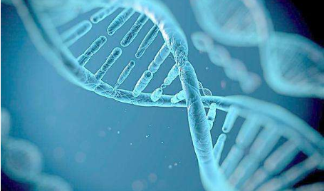 养殖场建设标准较高，在疫病防控、现代化等方面处于全球领先水平。