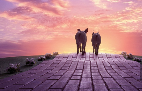 柬埔寨国家兽医总局在疫区采取紧急措施，包括对疫区3公里范围内的所有生猪进行扑杀，禁止买卖和运送生猪和猪肉，并下令暂停疫区的生猪养殖、买卖和运输，直到疫情完全消除。