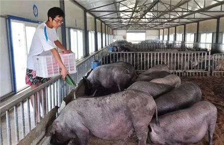 9月17日，华商储备商品管理中心网站发布消息称，中国将向市场投放1万吨储备冻猪肉，通过竞价交易方式进行。对此，网友表示：才知道猪肉都有储备，太好了！