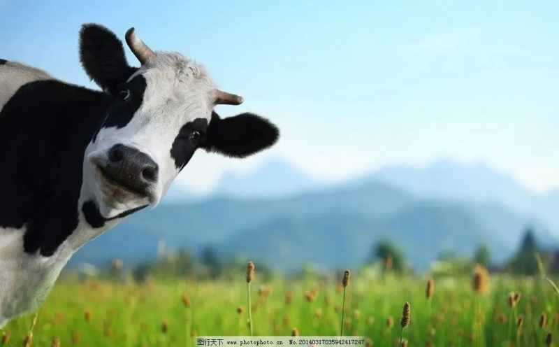 微信图片_20210521092504.jpg 图片